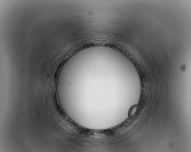 X0000100200601200805300748