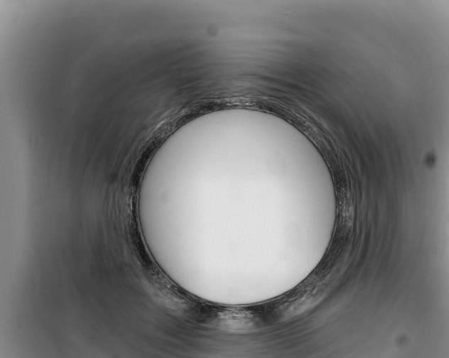 X0000100200603200805300748