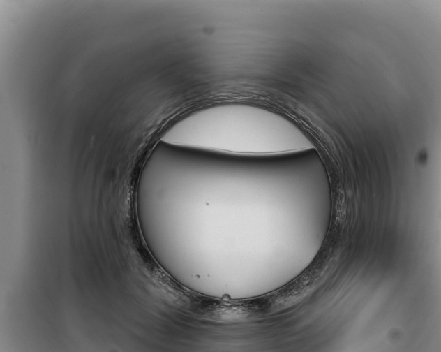 X0000100200604200805300748