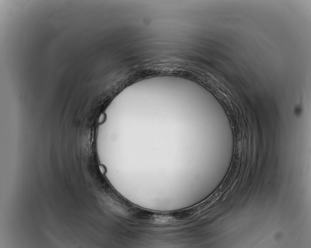 X0000100200605200805300748