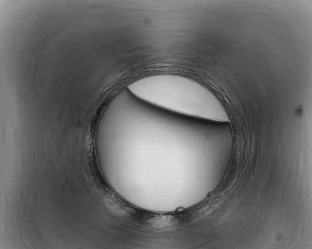 X0000100200609200805300748