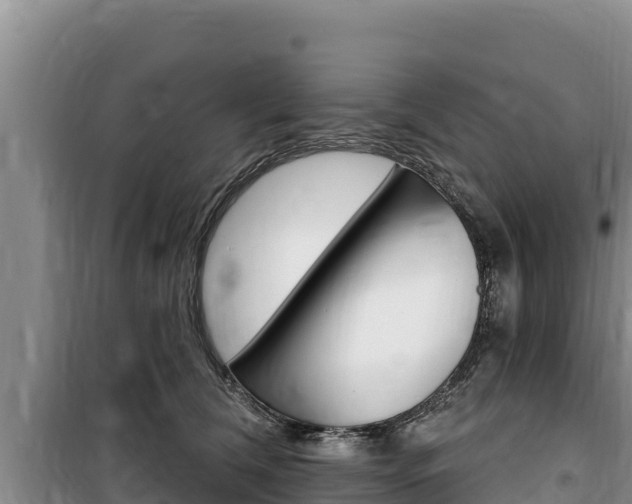 X0000100200612200805300748