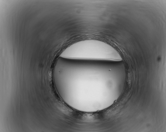 X0000100200613200805300748