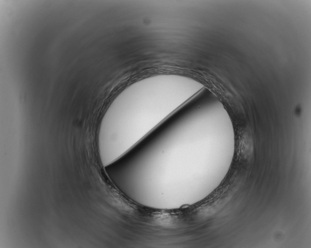 X0000100200616200805300748