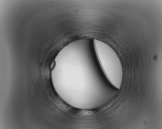 X0000100200617200805300748