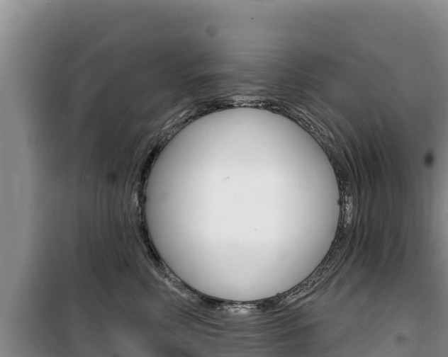 X0000100200618200805300748