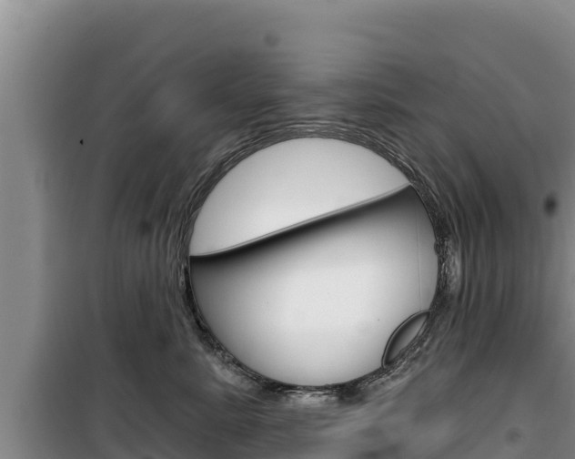 X0000100200619200805300748