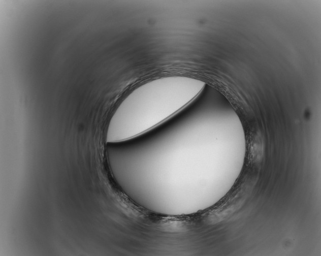 X0000100200620200805300748