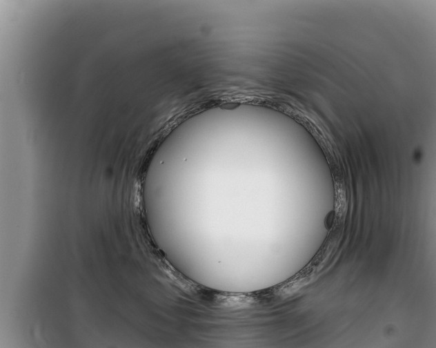 X0000100200621200805300748