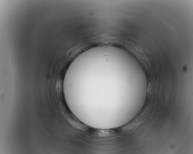 X0000100200623200805300748