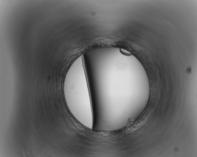X0000100200624200805300748
