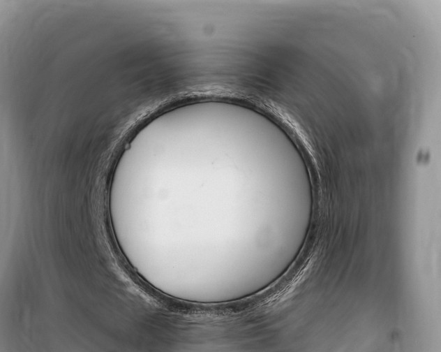 X0000100200625200805300748