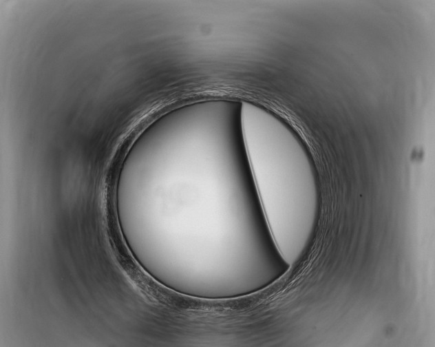 X0000100200626200805300748
