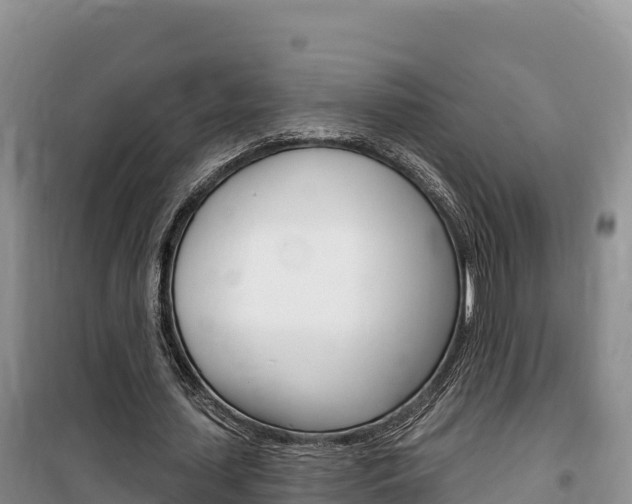 X0000100200627200805300748