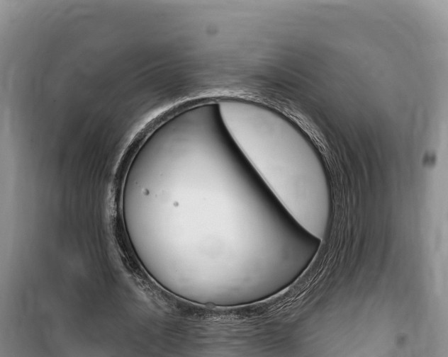 X0000100200628200805300748