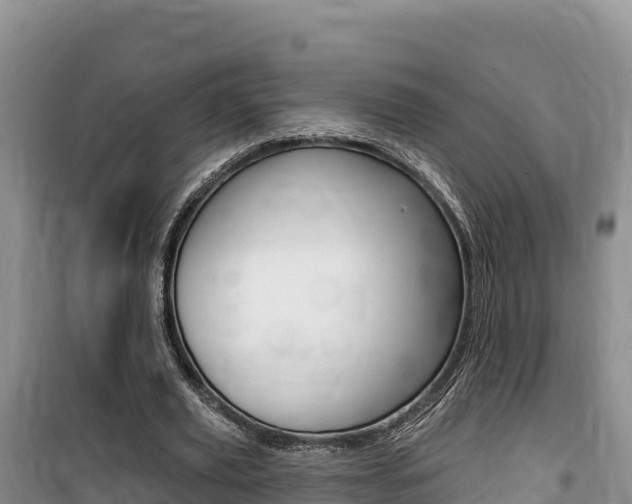 X0000100200629200805300748