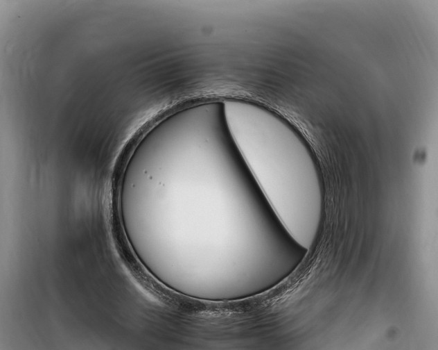 X0000100200630200805300748