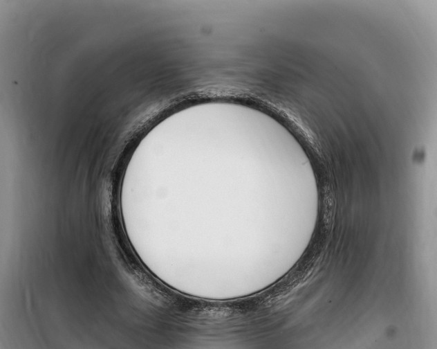 X0000100200631200805300748