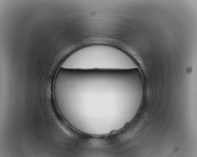 X0000100200633200805300748