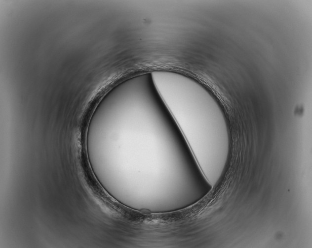 X0000100200634200805300748