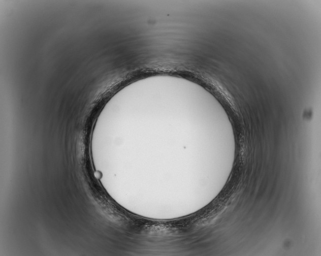 X0000100200635200805300748