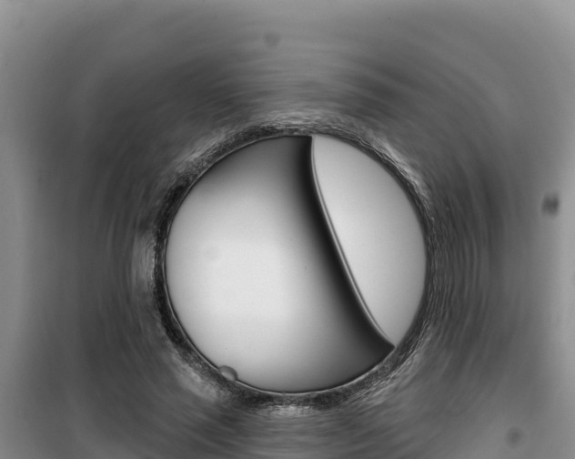 X0000100200637200805300748