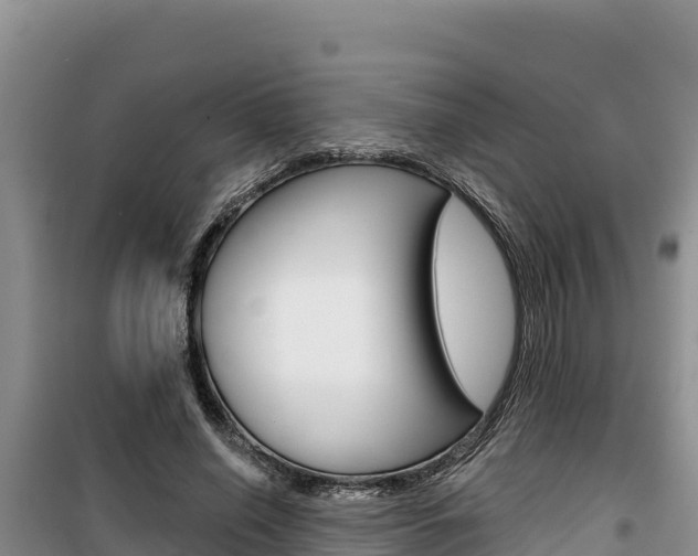 X0000100200638200805300748