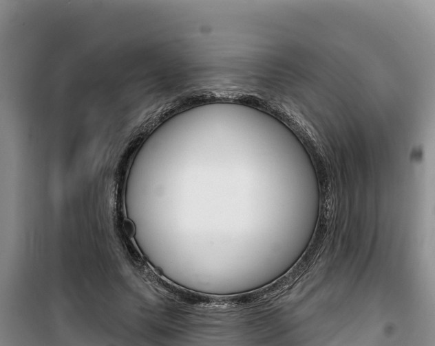 X0000100200639200805300748