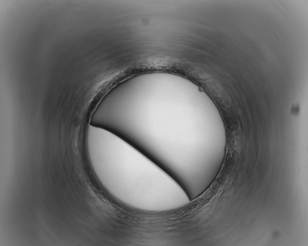 X0000100200640200805300748
