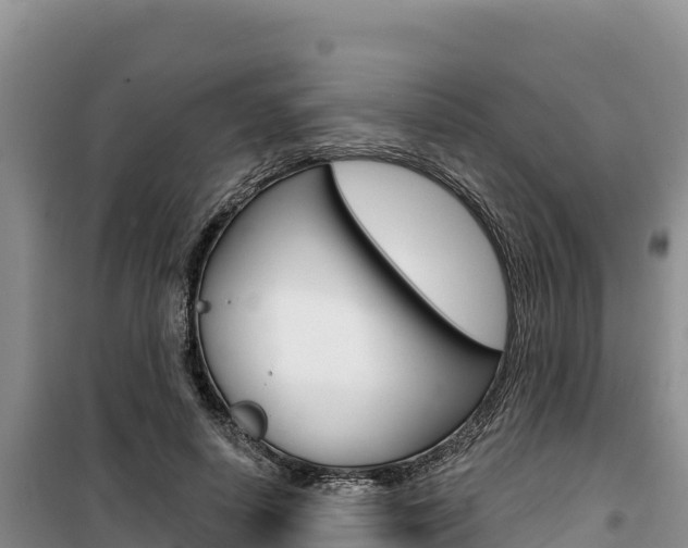 X0000100200642200805300748