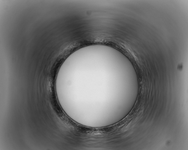 X0000100200643200805300748