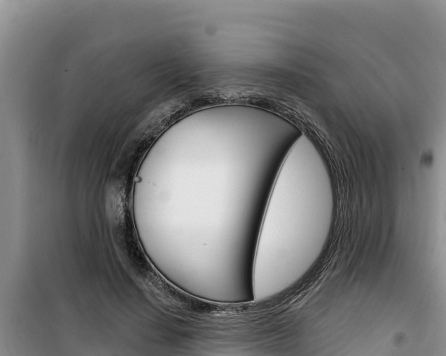 X0000100200644200805300748