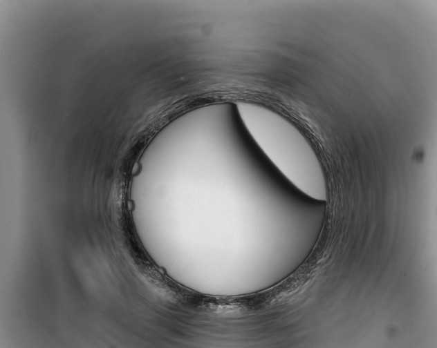 X0000100200645200805300748