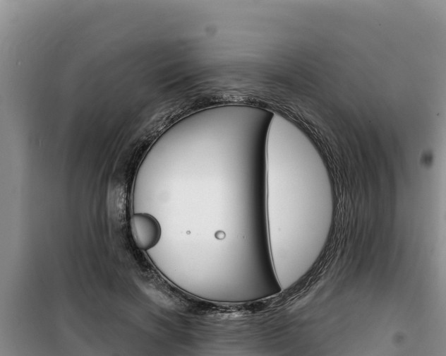 X0000100200646200805300748