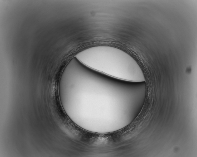 X0000100200647200805300748