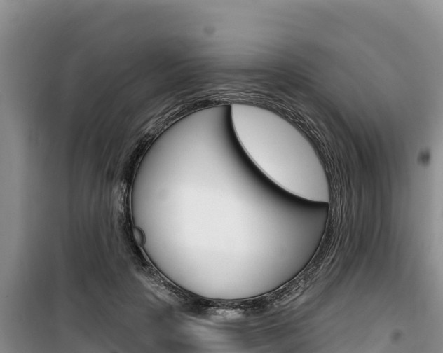 X0000100200649200805300748