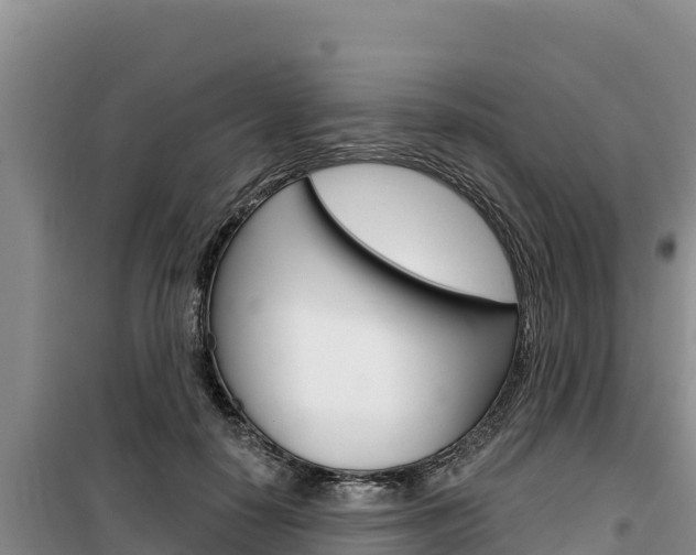 X0000100200650200805300748