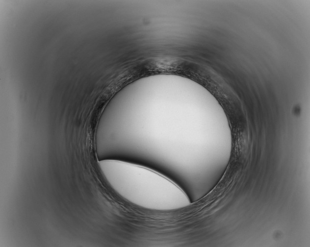 X0000100200651200805300748