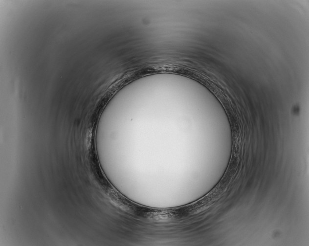 X0000100200652200805300748