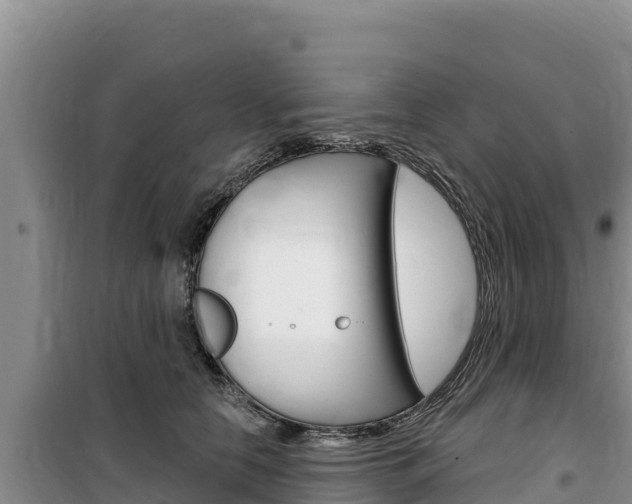 X0000100200658200805300748
