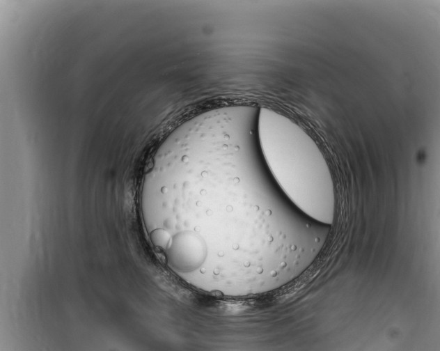 X0000100200662200805300748