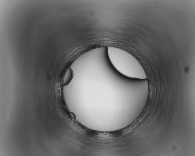 X0000100200666200805300748