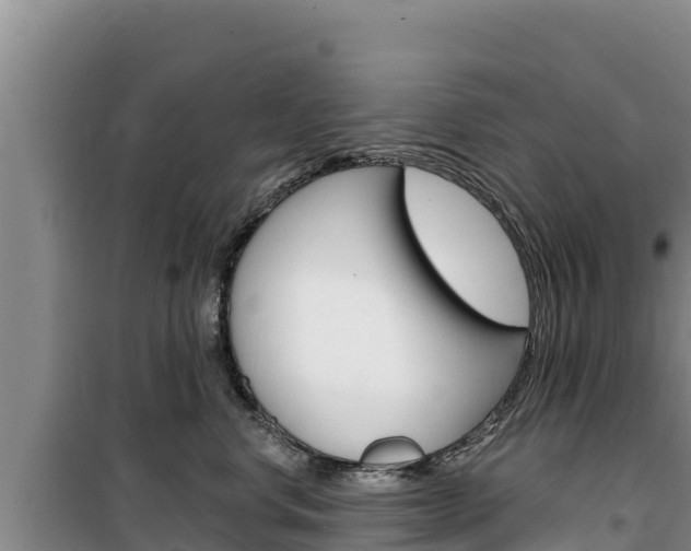 X0000100200668200805300748