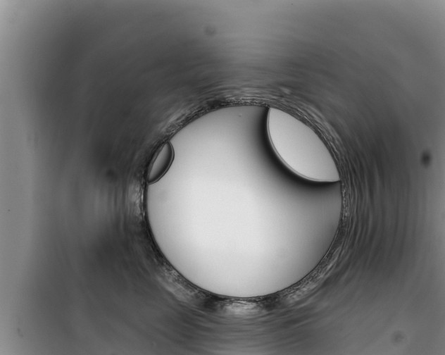 X0000100200669200805300748