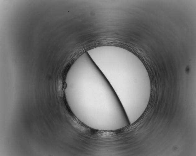 X0000100200670200805300748