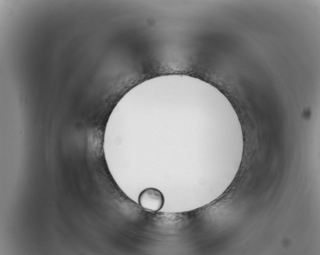 X0000100200672200805300748