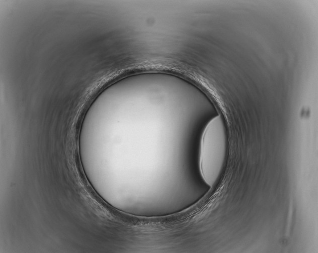 X0000100200673200805300748
