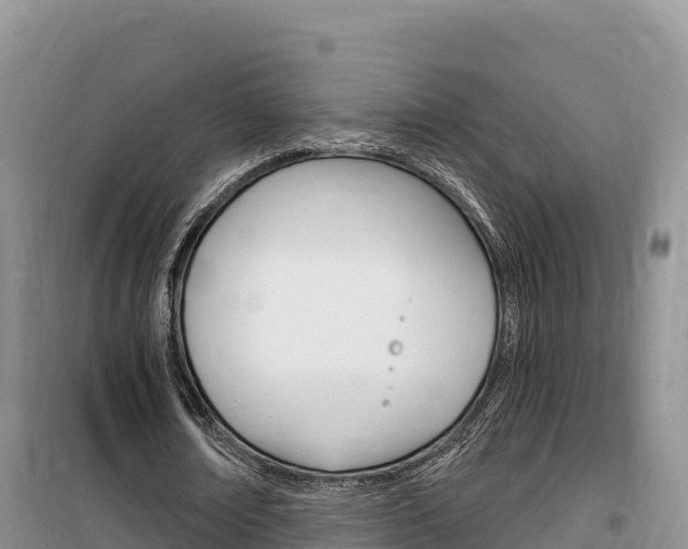 X0000100200674200805300748