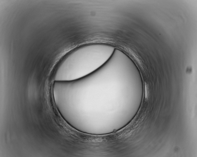 X0000100200675200805300748