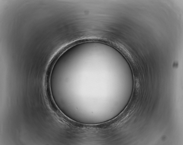 X0000100200676200805300748